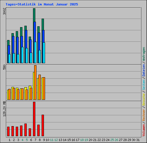 Tages-Statistik im Monat Januar 2025