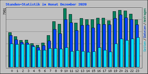 Stunden-Statistik im Monat Dezember 2020