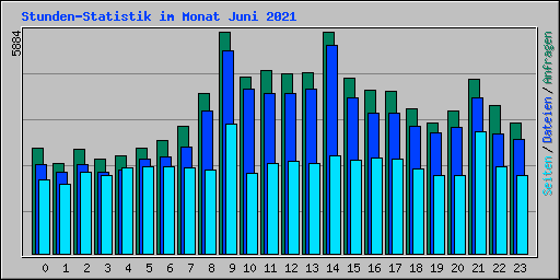 Stunden-Statistik im Monat Juni 2021