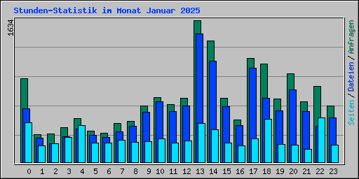 Stunden-Statistik im Monat Januar 2025