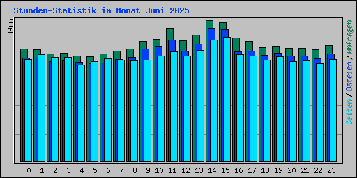 Stunden-Statistik im Monat Juni 2025