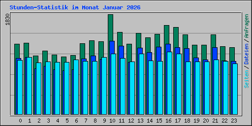 Stunden-Statistik im Monat Januar 2026