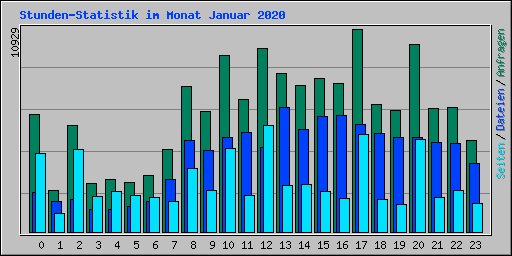 Stunden-Statistik im Monat Januar 2020