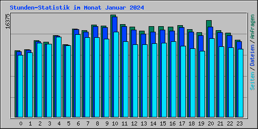 Stunden-Statistik im Monat Januar 2024