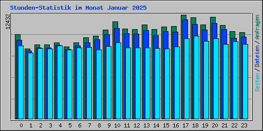 Stunden-Statistik im Monat Januar 2025