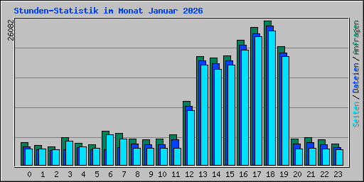 Stunden-Statistik im Monat Januar 2026